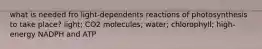 what is needed fro light-dependents reactions of photosynthesis to take place? light; CO2 molecules; water; chlorophyll; high-energy NADPH and ATP