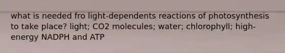 what is needed fro light-dependents reactions of photosynthesis to take place? light; CO2 molecules; water; chlorophyll; high-energy NADPH and ATP