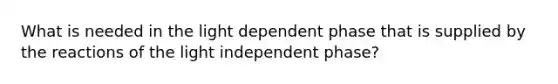 What is needed in the light dependent phase that is supplied by the reactions of the light independent phase?