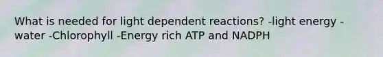 What is needed for light dependent reactions? -light energy -water -Chlorophyll -Energy rich ATP and NADPH