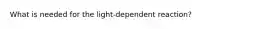 What is needed for the light-dependent reaction?