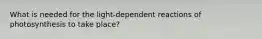 What is needed for the light-dependent reactions of photosynthesis to take place?