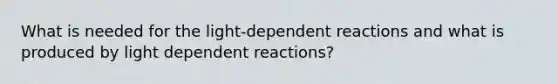 What is needed for the light-dependent reactions and what is produced by light dependent reactions?