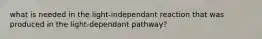 what is needed in the light-independant reaction that was produced in the light-dependant pathway?