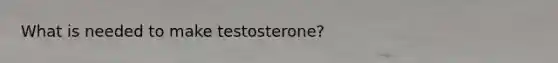 What is needed to make testosterone?