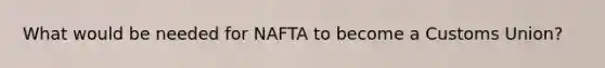 What would be needed for NAFTA to become a Customs​ Union?