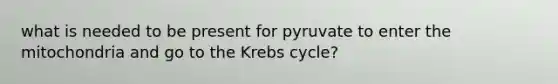 what is needed to be present for pyruvate to enter the mitochondria and go to the Krebs cycle?