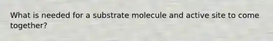 What is needed for a substrate molecule and active site to come together?