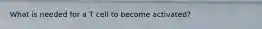 What is needed for a T cell to become activated?