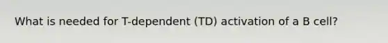 What is needed for T-dependent (TD) activation of a B cell?