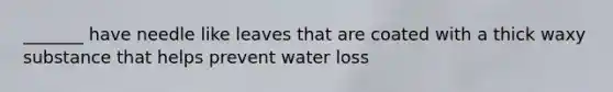 _______ have needle like leaves that are coated with a thick waxy substance that helps prevent water loss