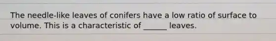 The needle-like leaves of conifers have a low ratio of surface to volume. This is a characteristic of ______ leaves.