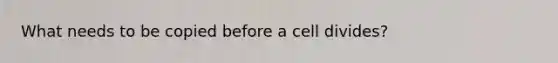 What needs to be copied before a cell divides?