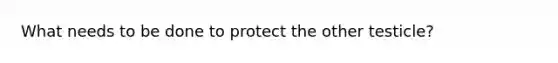 What needs to be done to protect the other testicle?