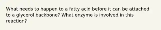 What needs to happen to a fatty acid before it can be attached to a glycerol backbone? What enzyme is involved in this reaction?