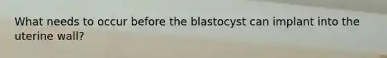 What needs to occur before the blastocyst can implant into the uterine wall?