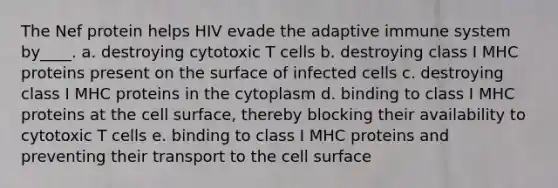 The Nef protein helps HIV evade the adaptive immune system by____. a. destroying cytotoxic T cells b. destroying class I MHC proteins present on the surface of infected cells c. destroying class I MHC proteins in the cytoplasm d. binding to class I MHC proteins at the cell surface, thereby blocking their availability to cytotoxic T cells e. binding to class I MHC proteins and preventing their transport to the cell surface