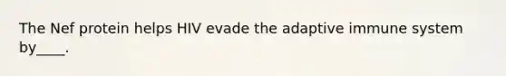 The Nef protein helps HIV evade the adaptive immune system by____.