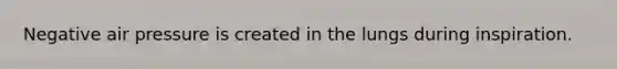 Negative air pressure is created in the lungs during inspiration.
