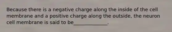 Because there is a negative charge along the inside of the cell membrane and a positive charge along the outside, the neuron cell membrane is said to be______________.