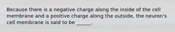 Because there is a negative charge along the inside of the cell membrane and a positive charge along the outside, the neuron's cell membrane is said to be ______.