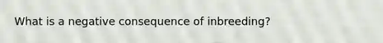 What is a negative consequence of inbreeding?