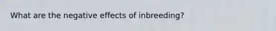 What are the negative effects of inbreeding?