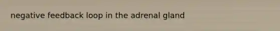 negative feedback loop in the adrenal gland