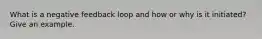 What is a negative feedback loop and how or why is it initiated? Give an example.