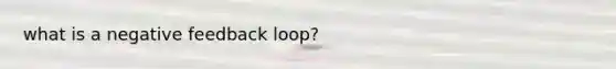 what is a negative feedback loop?