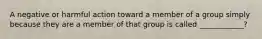 A negative or harmful action toward a member of a group simply because they are a member of that group is called ____________?