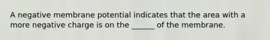 A negative membrane potential indicates that the area with a more negative charge is on the ______ of the membrane.