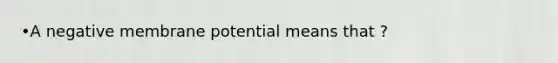 •A negative membrane potential means that ?