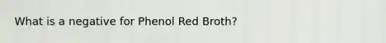 What is a negative for Phenol Red Broth?