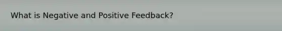 What is Negative and Positive Feedback?