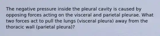 The negative pressure inside the pleural cavity is caused by opposing forces acting on the visceral and parietal pleurae. What two forces act to pull the lungs (visceral pleura) away from the thoracic wall (parietal pleura)?