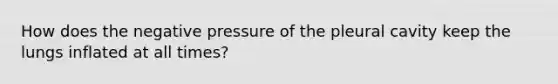 How does the negative pressure of the pleural cavity keep the lungs inflated at all times?