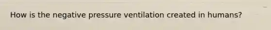 How is the negative pressure ventilation created in humans?