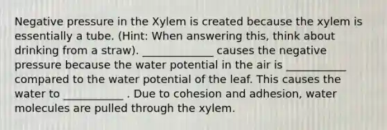 Negative pressure in the Xylem is created because the xylem is essentially a tube. (Hint: When answering this, think about drinking from a straw). _____________ causes the negative pressure because the water potential in the air is ___________ compared to the water potential of the leaf. This causes the water to ___________ . Due to cohesion and adhesion, water molecules are pulled through the xylem.