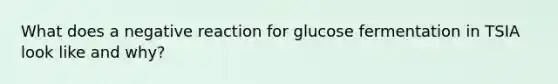 What does a negative reaction for glucose fermentation in TSIA look like and why?