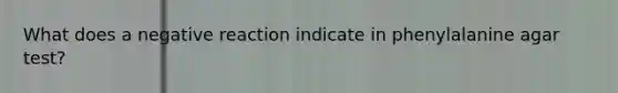 What does a negative reaction indicate in phenylalanine agar test?