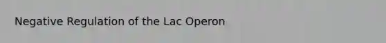 Negative Regulation of the Lac Operon