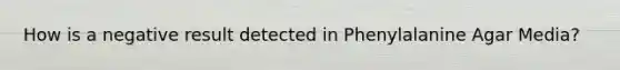 How is a negative result detected in Phenylalanine Agar Media?