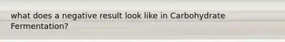 what does a negative result look like in Carbohydrate Fermentation?