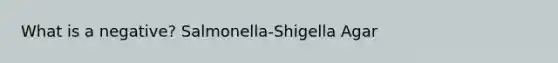 What is a negative? Salmonella-Shigella Agar