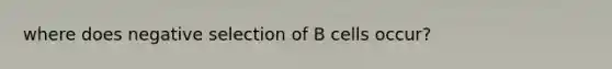 where does negative selection of B cells occur?