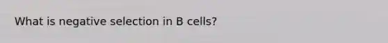 What is negative selection in B cells?