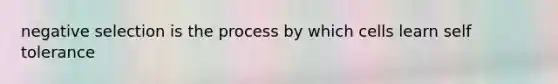 negative selection is the process by which cells learn self tolerance