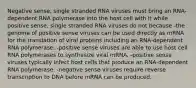 Negative sense, single stranded RNA viruses must bring an RNA-dependent RNA polymerase into the host cell with it while positive sense, single stranded RNA viruses do not because -the genome of positive sense viruses can be used directly as mRNA for the translation of viral proteins including an RNA-dependent RNA polymerase. -positive sense viruses are able to use host cell RNA polymerases to synthesize viral mRNA. -positive sense viruses typically infect host cells that produce an RNA-dependent RNA polymerase. -negative sense viruses require reverse transcription to DNA before mRNA can be produced.