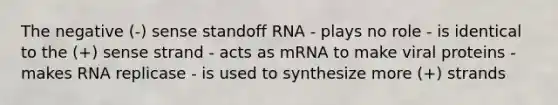 The negative (-) sense standoff RNA - plays no role - is identical to the (+) sense strand - acts as mRNA to make viral proteins - makes RNA replicase - is used to synthesize more (+) strands